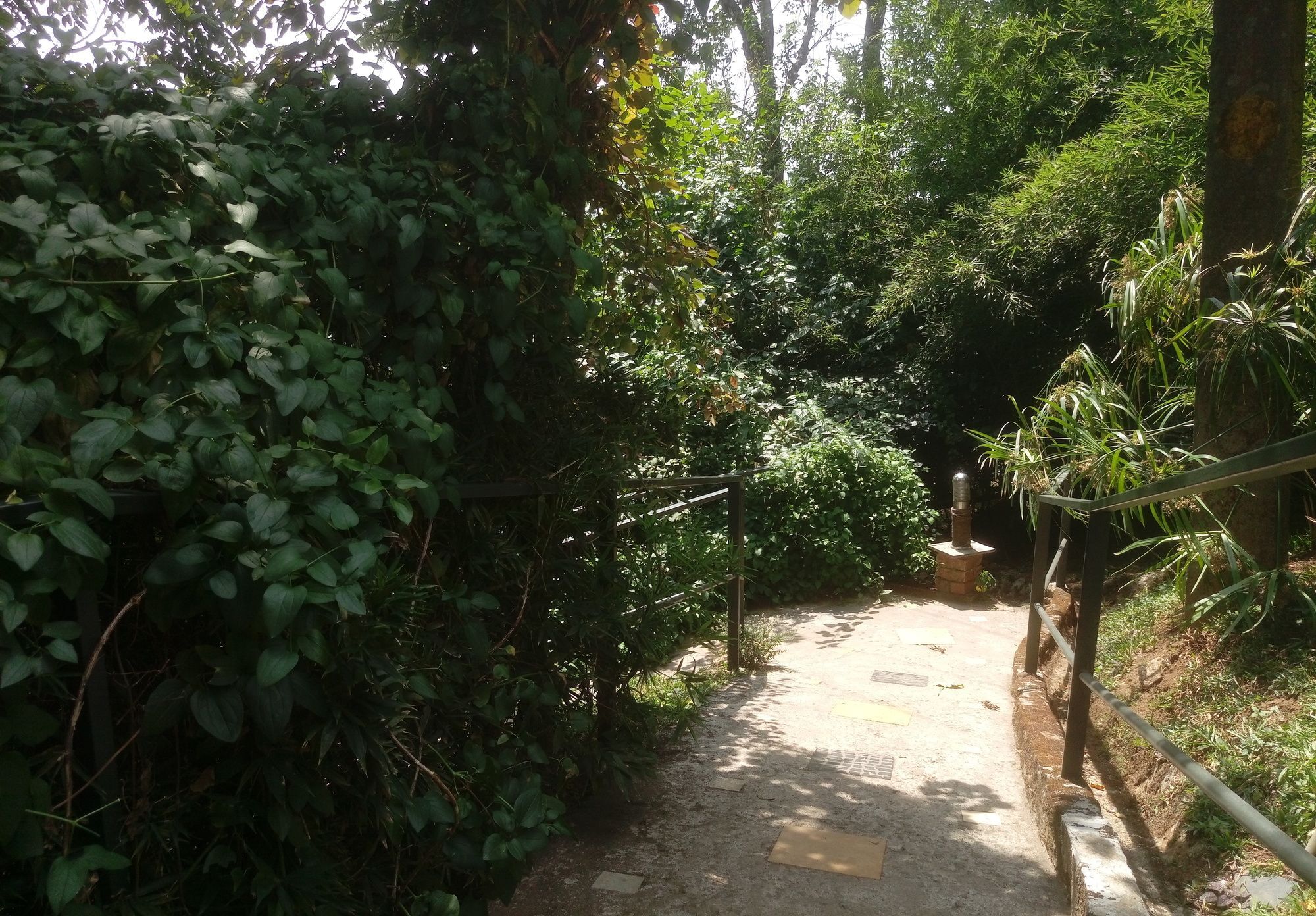 Spicetree Munnar Hotel Chinnakanal Bagian luar foto