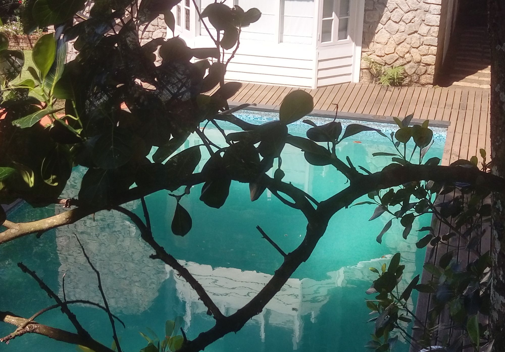 Spicetree Munnar Hotel Chinnakanal Bagian luar foto