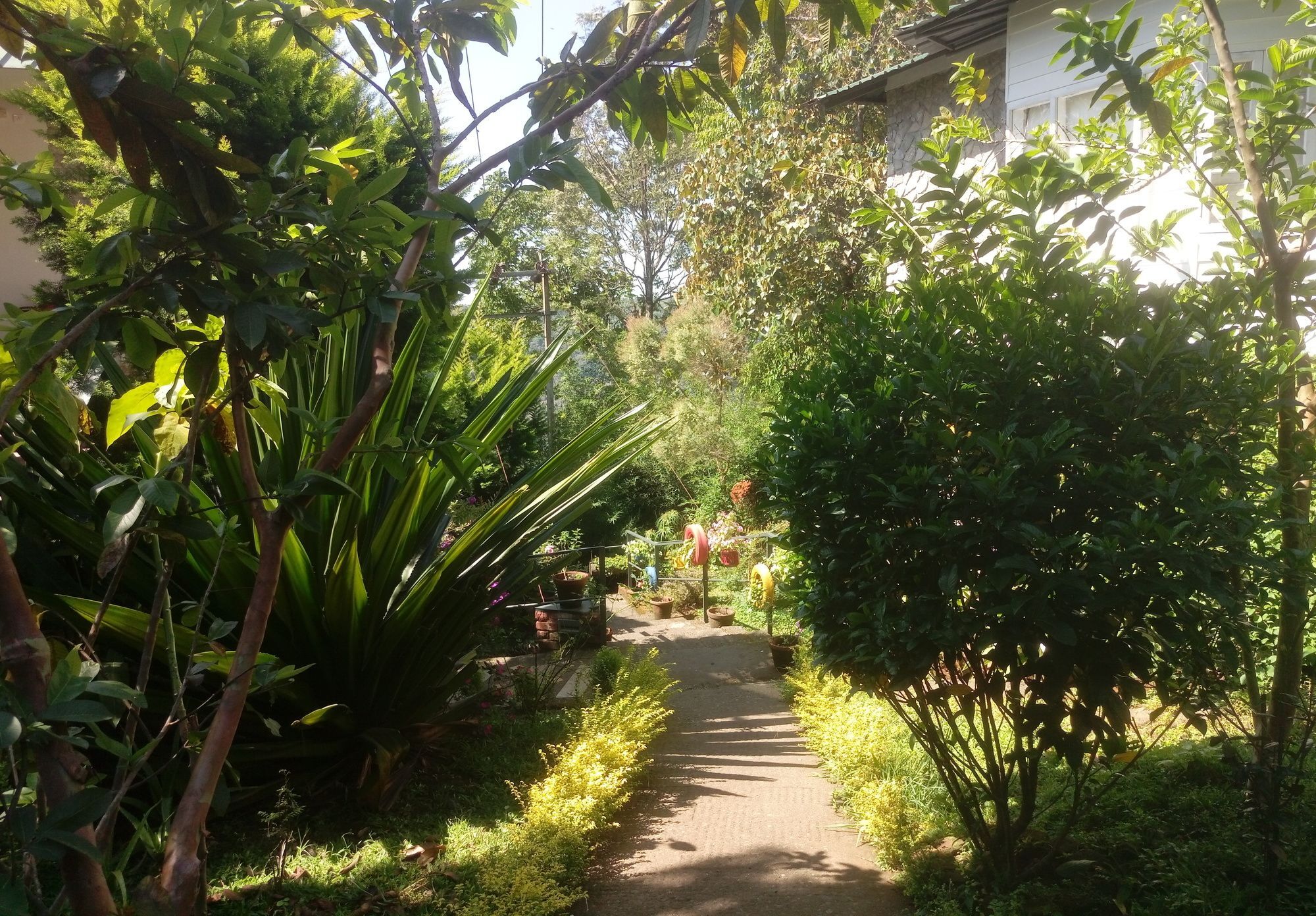 Spicetree Munnar Hotel Chinnakanal Bagian luar foto